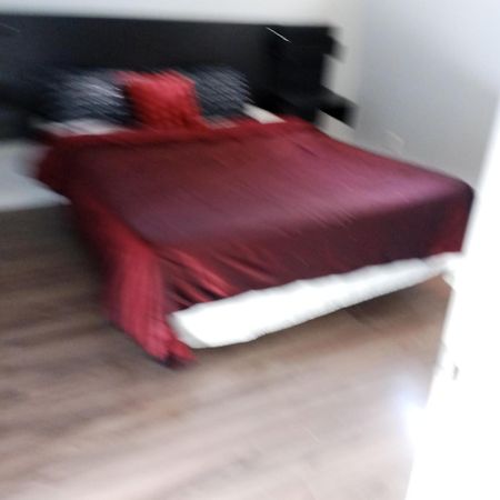 The Basement By The Side Door Guest House 渥太華 外观 照片